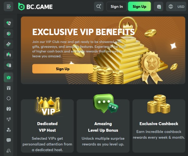 BC Game VIP Casino